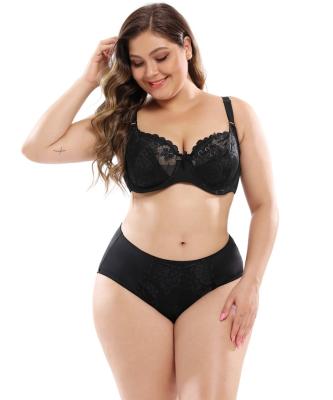 China C D E breathable sexy plump gathering fat ladies underwear women lace up embroidery plus size bra and panty set for sale