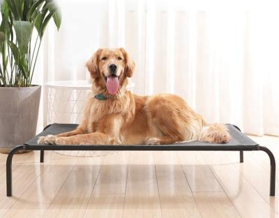 China High Quality Breathable Dog Bed High Breathable Dog Raised Beds Steel Frame Pet Beds for sale