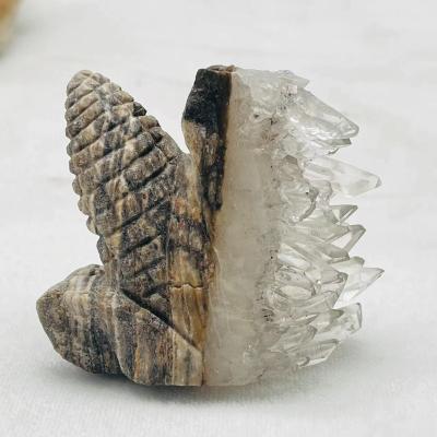 China China Natural White Crystal Clusters Cut Corn Healing Crystals For Home Decor for sale