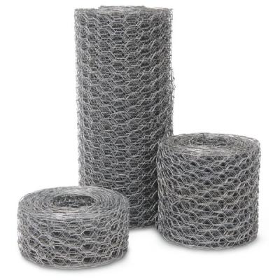 China professional manufacturing stainless screen/hexagonal wire mesh/chicken wire mesh for sale