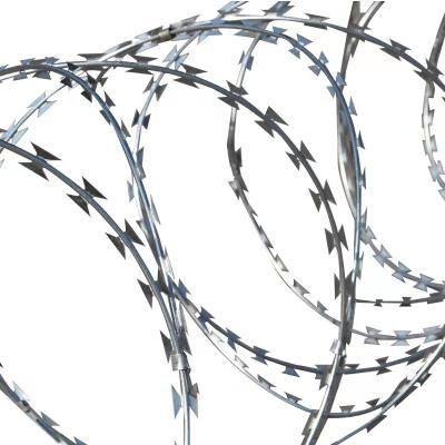 China Protection Performance Suppliers Razor Wire /welded Galvanized Razor Concertina Wire Mesh Fencing Barbed Wire for sale