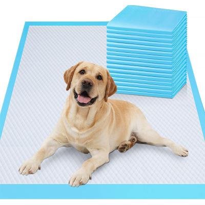 China Puppy Pee Mat Pet Stocked Training Pads Dog Toilet Mat Urine Pad Medium Pet Diaper Training Mats for sale