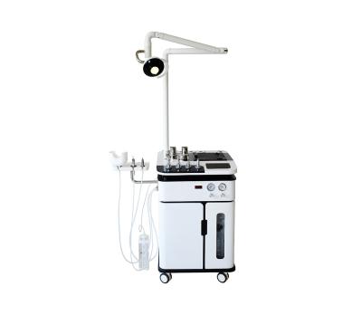 China Metal Medical Examination OPD Factory Manufacture Price Endoscope Camera Led Cold Light Treatment Ear Nose Unit for sale