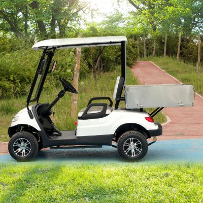 China 2023 Hot Sale Aangepaste elektrische community-golfkarretjes UTV 30 mph met CE Te koop