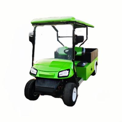 Cina 72V Green Electric Golf Cart Cargo Box Flatbed Electric Cart 2 posti Golf Truck in vendita