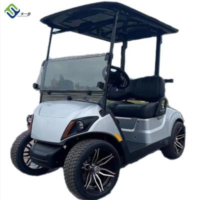 China Novo carrinho de golfe LSV elétrico de 2 lugares para cor de praia personalizado à venda