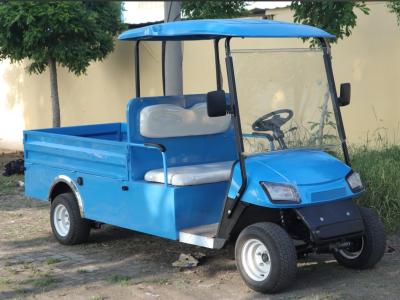 Cina Blue Color 2 Seater Cargo Golf Cart Depot AC Motor 3.5kw Minimum Turning 5600mm in vendita