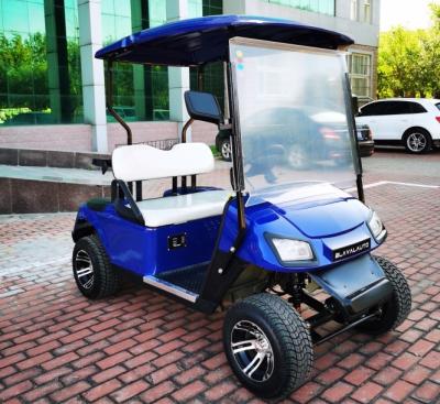 China Export EV 2 Seater Golf Cart 48V 3.5KW AC System Good Quality Golf Trolley zu verkaufen