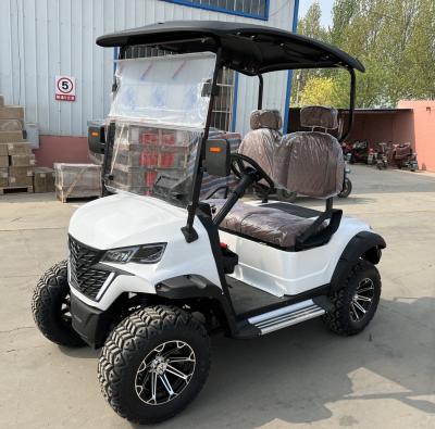 China 2 zitplaatsen elektrische golfkar optioneel lithiumbatterie mini duurzame elektrische golf buggy Te koop