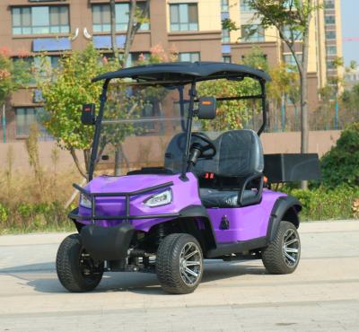 China Automatic Lightweight Golf Cart Accessories 72V 5KW AC System Golf Buggy for sale