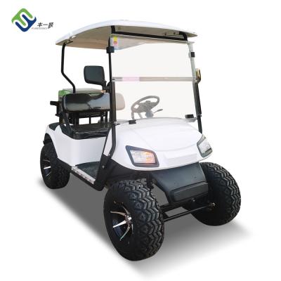 China Two-Seater Classic New Energy Lithium Battery Electric Golf Cart With Customizable Color And LOGO for sale