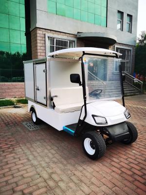 China Classic Two Seater Electric Lithium Battery Golf Van Special Vehicle Supports Customization for sale