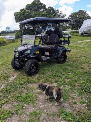 China Carrinho de golfe elétrico personalizado de 4 lugares para 4 passageiros à venda