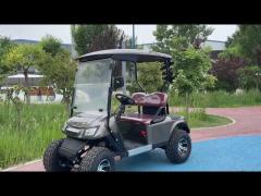 2 Seater electric Golf Cart FNE-A2 golf cart