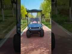 2+2 seater electric golf cart 2024 new design