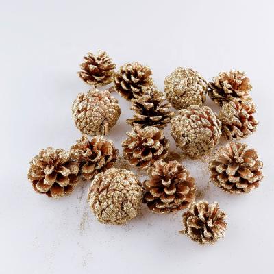 China Cheap Holiday Decoration Factory Price Pine Cone Ornament Christmas Natural Gold Material Pinecones Bags for sale