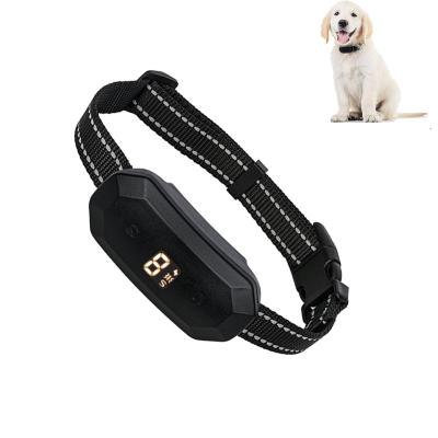 China Bark Collar No For Small Dogs Anti Amazon Success Dog Bark Collar for sale