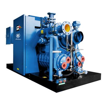 China 380V/220V/415V/460V Lubricated Oil Free AC Air Horse Screw Air Compressor for sale