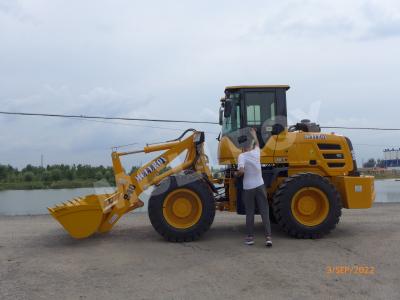 Cina 1.2m3 76kW Compact Wheel Loader Multifunctional In Construction Agricultural in vendita