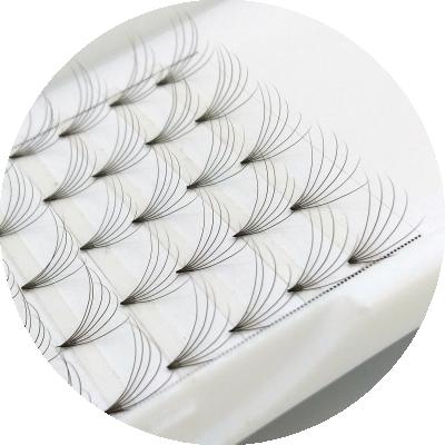 China Crisscross 0.03 0.05 0.07 0.10 0.15 different mink eyelash extensions for sale