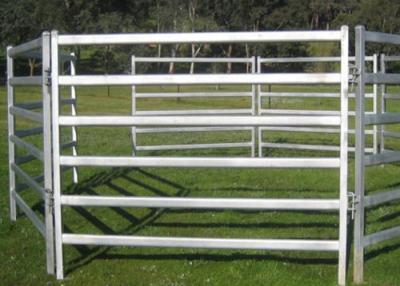 China Easily Setup Metal Farm Fence , Pipe Corral Panels For Goats Anti Corrosion for sale