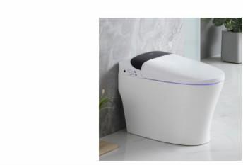 중국 Siphon Type Save Water Sanitary Ware Toilet Sgs Approval 판매용