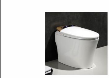 China Ceramic Floor Mounted Odm Sanitary Ware Toilet P Trap for sale