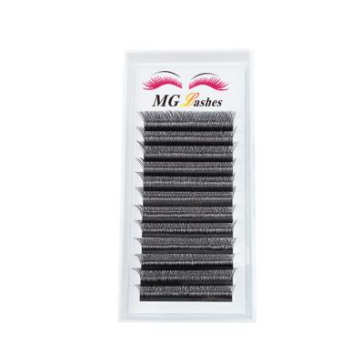 China Korean PBT New Arrival Silk WW Shape 3D Effect Lashes Eyelash Extensions W Fluffy Individual Lashes for sale