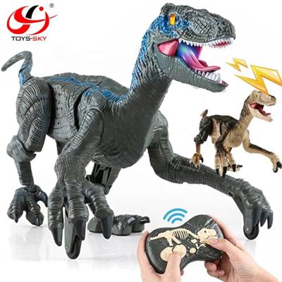 China Hot 2.4G RC Model Simulation Dragon RC Raptor Jurassic Dragon Velociraptor Dinosaur Electric Walking Remote Control Toys With 3D Eyes for sale