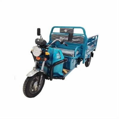 China Best cargo transport 2022 factory price 50 km per hour tricycle for passenger use electric tricycle with custom manufacturers for sale