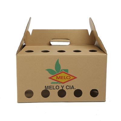 China Recycled Materials Factory Price Kraft Cardboard Corrugated Fruit Packaging Boxes Printing Vegetables Paper Boxes for sale