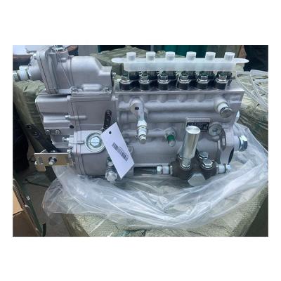 China High Quality Cast Iron Weichai WP10 Common Rail Fuel Injection Pump 612601080376 for sale