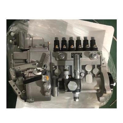 China High Quality Applicable Cast Iron Dragon Pump BH6PA110 BP1258 SDEC C6121 Engine Fuel Injection Pump for sale