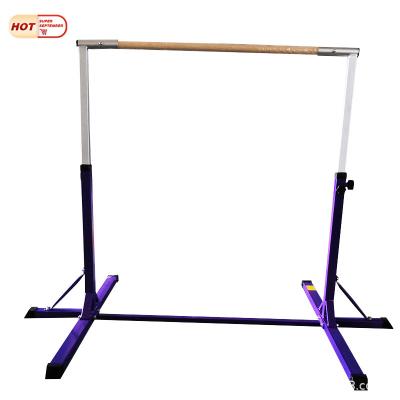 China Indoor Outdoor Gym Equipment Push Up Gym Equipment Training Gymnastics Horizontal Bar for sale