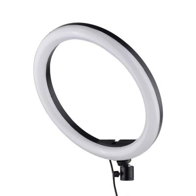 China ABS+PC Manufacturers Supply Led Selfie Ring Light 300mm*25mm Ring Selfie Light for sale