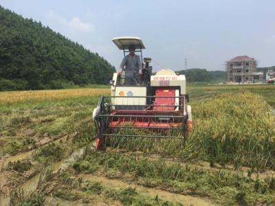 China MÄHDRESCHER-Erntereiskornbehälter-Mähdreschermaschinerie RL (4LZ-6.0P) BAHN-102hp HERGESTELLT IN CHINA zu verkaufen