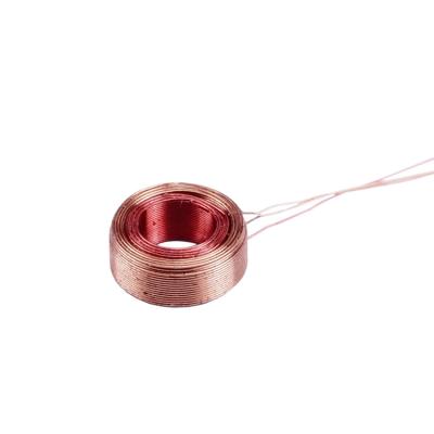 China / High Quality Precision Inductor Coil for sale