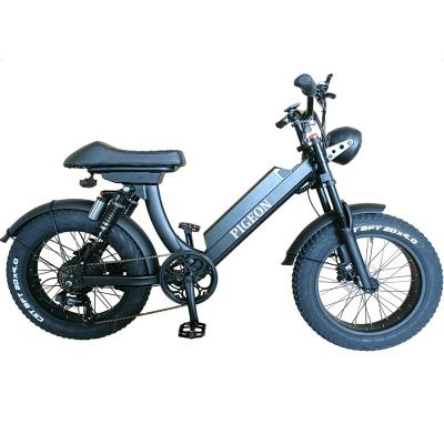 China Aluminum Alloy 20 INCH FAT Tire 1000W Power Big Motor E-BIKE (FP-EB22014) for sale