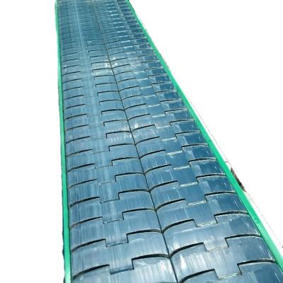 China Hairise Heat Resistant Chain Straight Conveyor System Used in Customer's Factory for sale