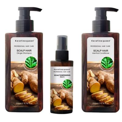 China High Quality Natural Exquisite Pomegranate Loss Prevention Moisture Sulfate Argan Oil Free Hair Conditioner for sale