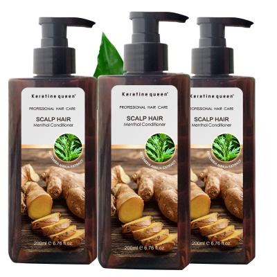 China High Quality Natural Ginger Hair Loss Prevention Scalp Menthol Hair Nutritious Shampoo for sale