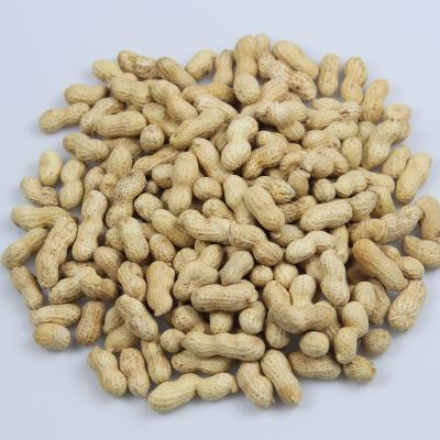 China Original Supply Dry Direct OEM Processing Peanut Brittle Snack for sale