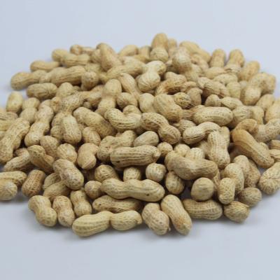 China Original Supply Dry Direct OEM Processing Peanut Snacks Production Line for sale