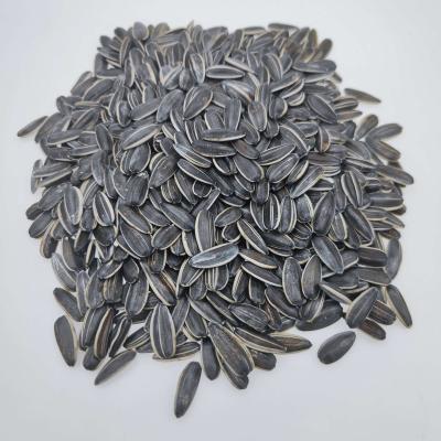 China Agents Low Price Factories Fresh Sunflower Seeds Sincerely Recruiting for sale