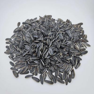 China Direct supply fresh from the point of origin the cheap factory recruitment of agents sunflower seeds Romania for sale