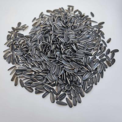 China Agents Low Price Factories Fresh Sincerely Recruiting Parrot Sunflower Seeds for sale