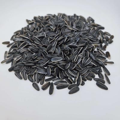 China Fresh Original Supply Recruitment Agent Production Factory Direct Edible Sunflower Seed Kernels for sale