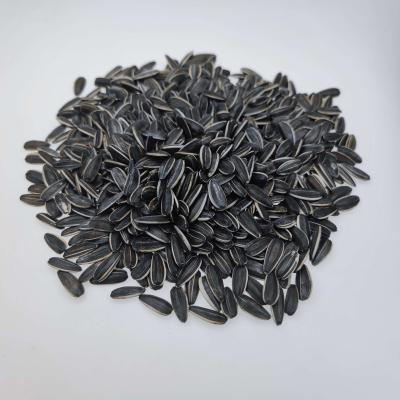 China Agents low price factories sincerely recruiting fresh chen chengii sunflower seeds for sale