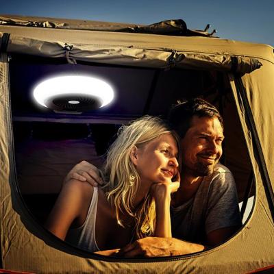 China 2021 New Car Camping Light With Fan Eco-friendly Portable Outdoor Camping Fan Tent Lamp Light For Tents for sale