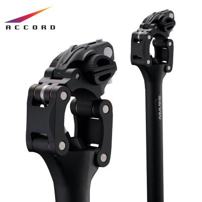 China Durable Bicycle Parts Accessories Bike Telescopic Seat Post Carbon Seatpost for sale